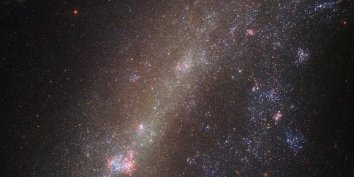 Космический телескоп Hubble сделал снимок галактики IC 1727, разорвавшейся на части при взаимодействии с соседней галактикой.
