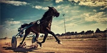 28 ноября в столице Кубани состоится первый турнир по конному спорту среди людей с ограниченными возможностями.
