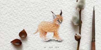 Художник Ирина Малахова создает детализированные рисунки размером не более трёх сантиметров с изображением животных.