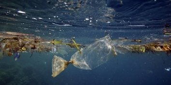 Накопление пластиковых отходов в мировом океане идет гораздо медленнее, чем ожидалось. Почему?